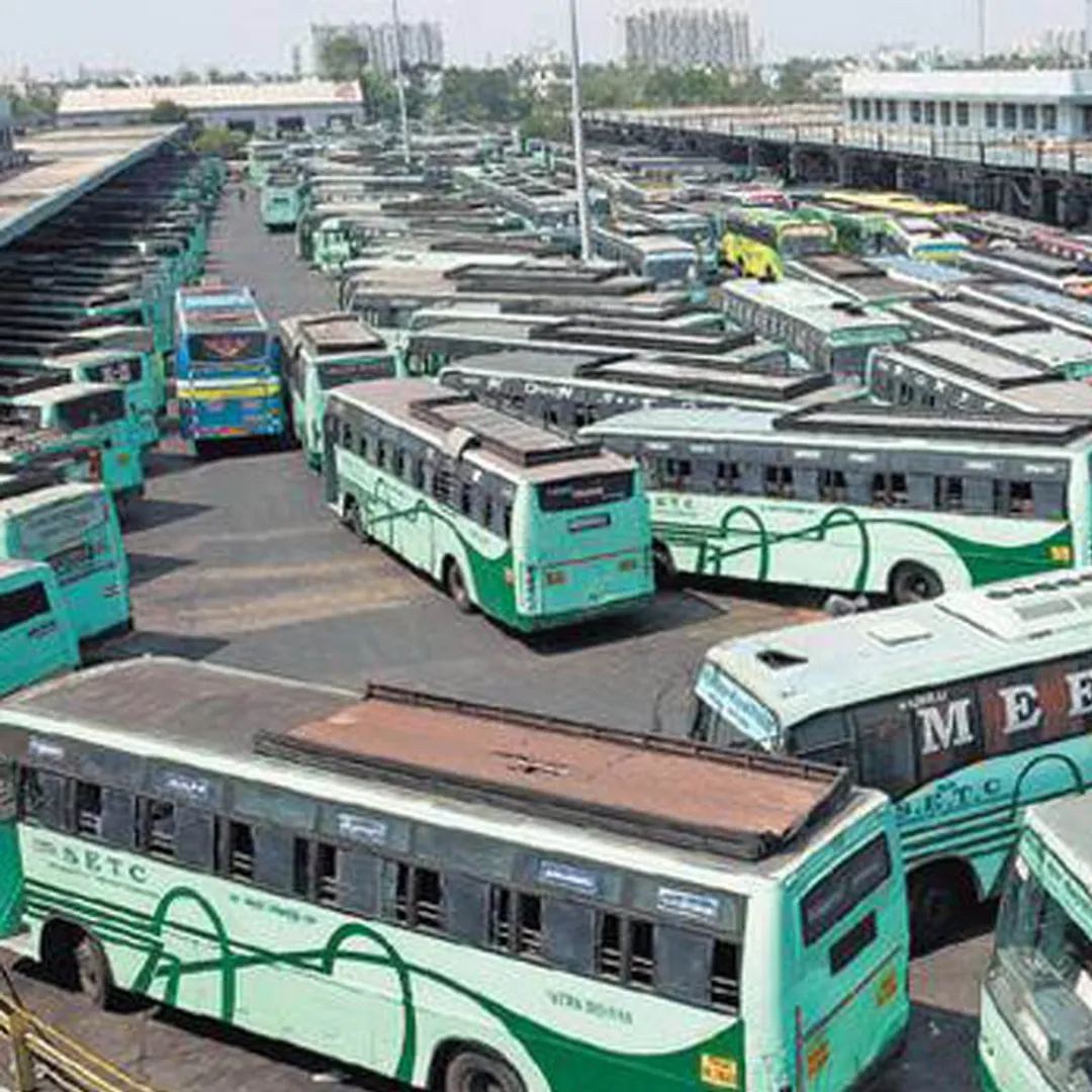 buses